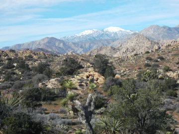 Field work in Southern California