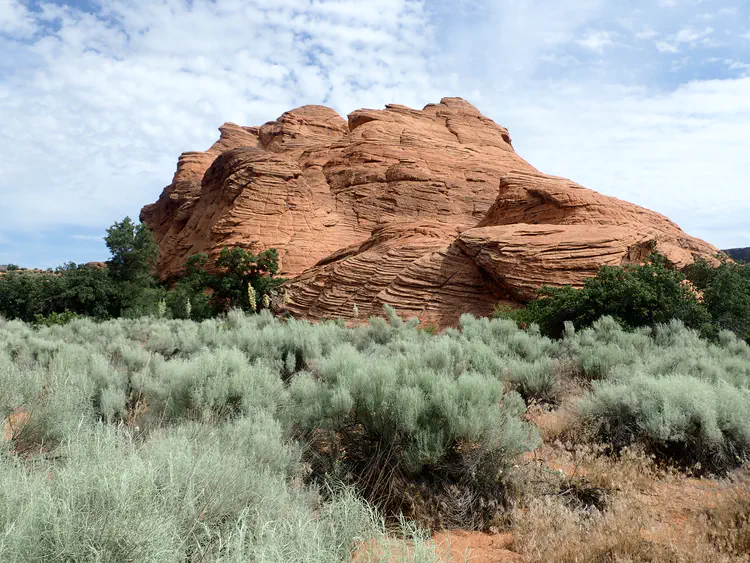 Beautiful landscape at Snow Canyon State Park in SW Utah.