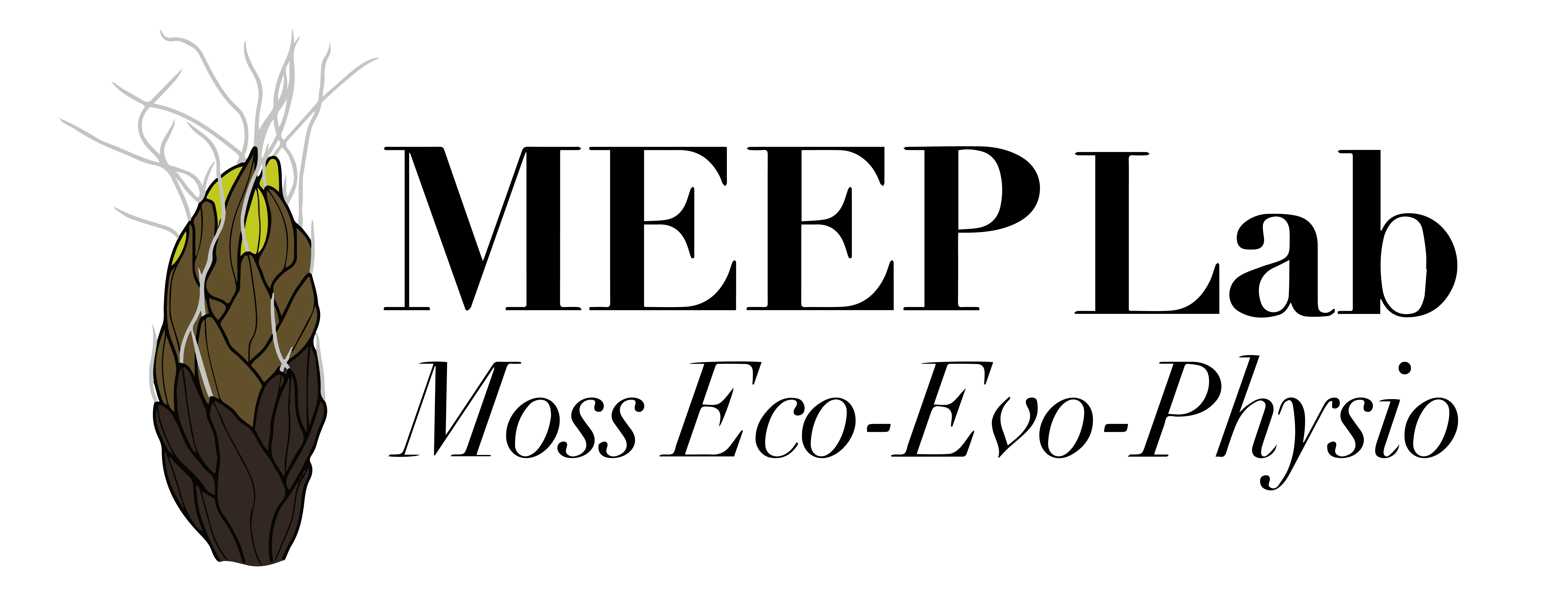MEEP Lab @ SFSU