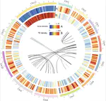 Syntrichia ruralis: emerging model moss genome reveals a conserved and previously unknown regulator of desiccation in flowering plants